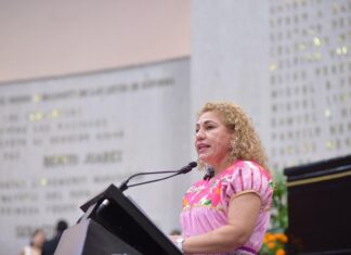 Instalar Casas de Día para atención de adultos mayores, propone diputada .