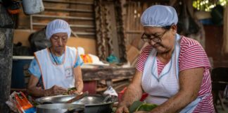 Mujeres empresarias y emprendedoras, de las más afectadas por la Ley de Amparo.