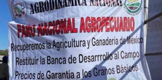 Productores agrícolas de 20 estados se van a paro