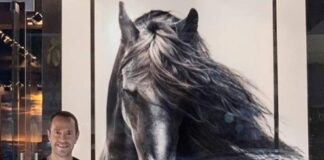 Fallece el fotógrafo judío mexicano Pepe Soho