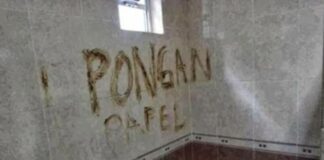 SAT: ¡Ni para papel de baño!