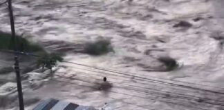 LA MAGNITUD DE LA TRAGEDIA .