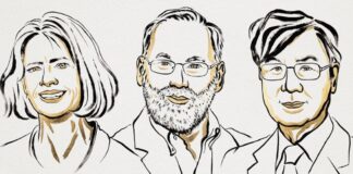 Mary E. Brunkow, Fred Ramsdell y Shimon Sakaguchi reciben Premio Nobel de Medicina 2025