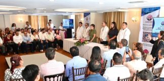 Rosa María anuncia fusión de direcciones municipales en Veracruz.