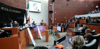 Senado aprueba reforma a Ley de Amparo con retroactividad; Sheinbaum se deslinda de la pifia anticonstitucional .