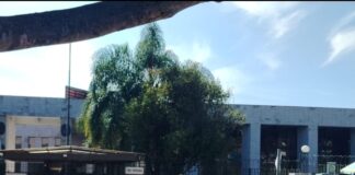 Frente al Congreso Red UV pide a legisladores una interpretación correcta de la legislación de UV.