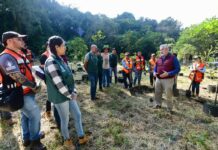 Encabeza Alberto Islas Jornada de Reforestación y Arborización en El Vallecito
