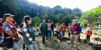 Encabeza Alberto Islas Jornada de Reforestación y Arborización en El Vallecito