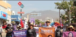 Sin justicia para Sandra Domínguez; a un año de su desaparición y feminicidio. Acusan carpetazo