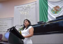 Ante desastres naturales, unidad, empatía y cooperación, llama diputada.