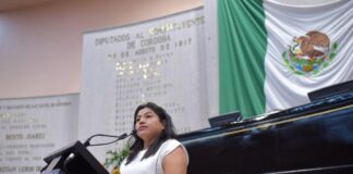 Ante desastres naturales, unidad, empatía y cooperación, llama diputada.