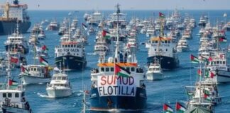 Flotilla de Gaza rechazó llamados a detenerse. Israel continúa interceptando los 50 buques