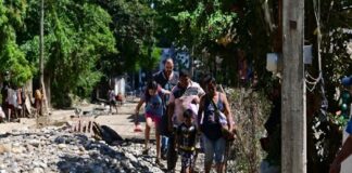 Los mercaderes del dolor .