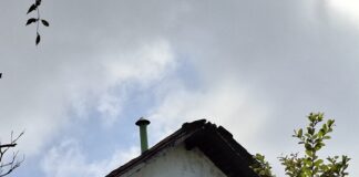 La Quinta de las Rosas (INAPAM)