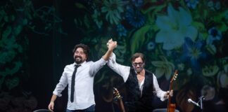 Reconocimiento y Virtuosismo en Málaga .