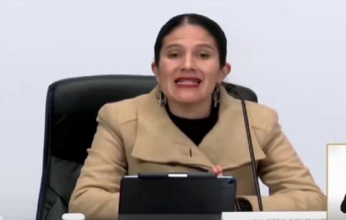 Bertha alcalde fiscal capitalina