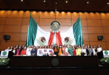 Madres buscadoras denuncian doble victimización en el marco del 25 N en la Cámara de diputados