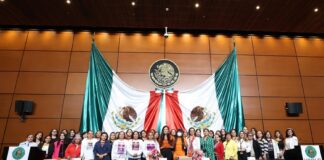 Madres buscadoras denuncian doble victimización en el marco del 25 N en la Cámara de diputados