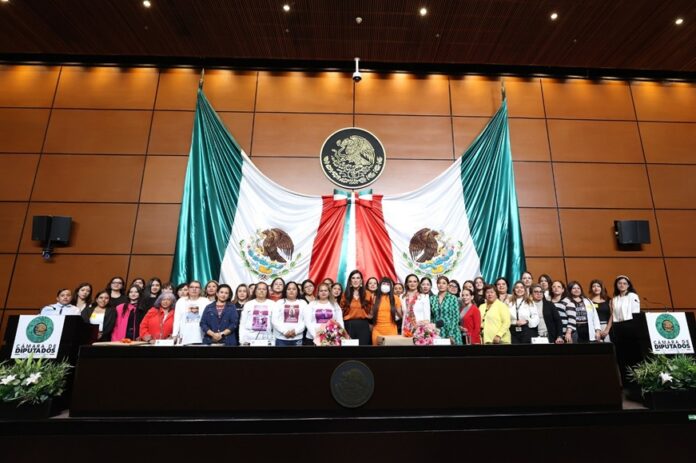Camara de diputadas dia internacional de la eleiminacion de la violencia contra las mujeres