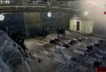 El caso de tortura en Sde Teiman que sacude a Israel .