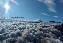 Cencellada cubre el Cofre de Perote; temperaturas descienden hasta los 2°C en la región montañosa.