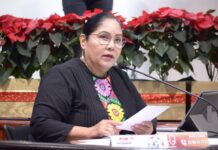 Educación, motor de la transformación, el bienestar y la grandeza de Veracruz: SEV