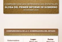La glosa del Informe: ¿eficiencia o control político?