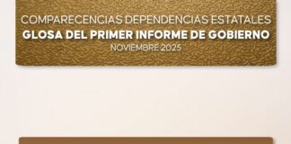 La glosa del Informe: ¿eficiencia o control político?