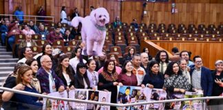 #Veracruz: Congreso eleva a rango constitucional la protección a los animales .