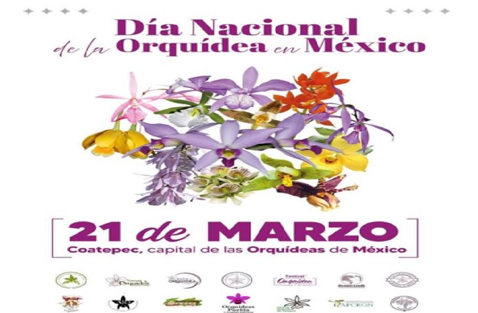 Dian nacional de la orquidea