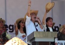 En el Plan Michoacán solo 14 de las100 acciones están dirigidas a mujeres.
