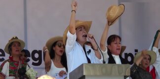 En el Plan Michoacán solo 14 de las100 acciones están dirigidas a mujeres.