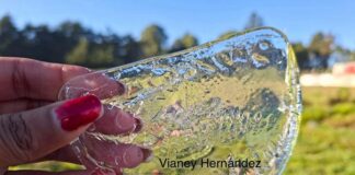 Frente frío deja temperaturas bajo cero y heladas en zonas altas de Veracruz.