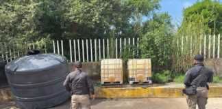 FGR asegura en Coatzacoalcos más de dos mil litros de hidrocarburo, 24 vehículos y un inmueble