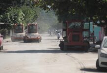 La recuperación de Álamo continúa como una tarea colectiva