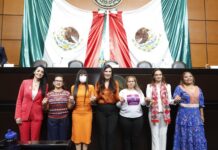 El Estado mexicano debe dedicar los recursos necesarios para detener la violencia contra las mujeres: Kenia López Rabadán