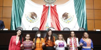 El Estado mexicano debe dedicar los recursos necesarios para detener la violencia contra las mujeres: Kenia López Rabadán