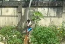 Muere joven tras ataque de leona en zoológico de Brasil .