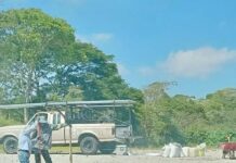 Se reactiva presión sobre el humedal Los Patos ante nuevos intentos de invasión.