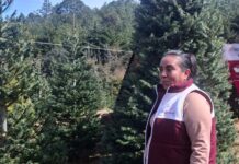 SEDEMA atiende afectaciones ambientales y animales tras inundaciones en el norte de Veracruz.