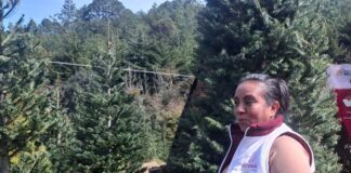 SEDEMA atiende afectaciones ambientales y animales tras inundaciones en el norte de Veracruz.