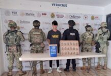 Detiene SSP Veracruz a 12 personas por distintos delitos, en operativos realizados en 19 municipios