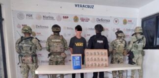 Detiene SSP Veracruz a 12 personas por distintos delitos, en operativos realizados en 19 municipios