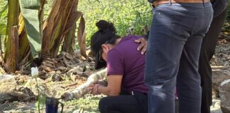 Maestros del TEBAEV Pinoltepec oran en el sitio de la tragedia y acompañan a la familia de Celeste.