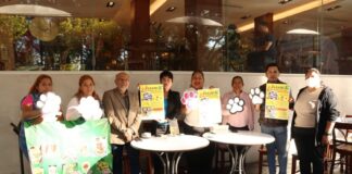 Anuncian la “Pasarela Más Perrona del Año” para promover adopción y bienestar animal en Xalapa.