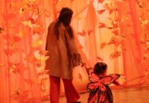 “Pequeñas Alas, Gran Impacto”: la exposición que invita a mirar la migración desde la bondad .