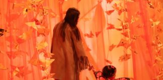 “Pequeñas Alas, Gran Impacto”: la exposición que invita a mirar la migración desde la bondad .