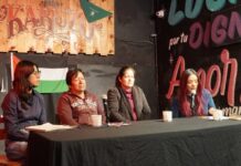 Piden sentenciar como feminicidio caso de Chely en Puebla .