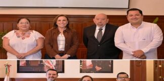 Nahle: mano firme en la SEV .