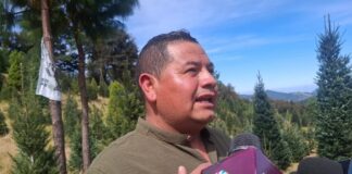 Las Vigas impulsará economía local con turismo del árbol de Navidad y rescate del maguey: alcalde electo Rafael Marín.